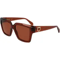 Salvatore Ferragamo Óculos De Sol Femininos Sf2014s-232 54x19x140