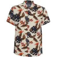 Blend Camisa mistura de cores