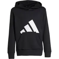 Adidas Moletom Com Capuz Essentials Big Logo