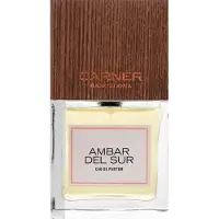 CARNER BARCELONA Ambar del Sur eau de parfum unissex 50 ml