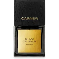 CARNER BARCELONA Cálamo Preto EDP - 50ml