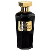 Amouroud perfume Oud After Dark EDP 100 ml