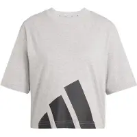 Adidas Camiseta De Manga Curta Essentials Big Logo Boyfriend