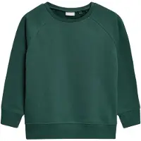 Next Sweatshirt verde escuro