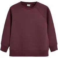 Next Sweatshirt borgonha