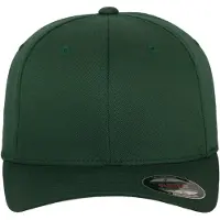 Flexfit Boné ' Combed ' verde