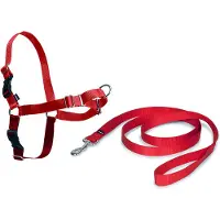 Nayeco Arnês Para Cães Easy Walk