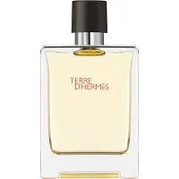 Hermès Paris perfume Terre d'EDT 100 ml