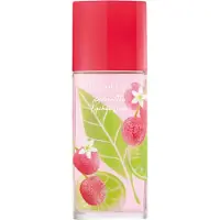 Elizabeth Arden perfume Green Tea Lychee Lime EDT 100 ml