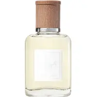 Ralph Lauren Polo Earth Antilhas Vetiver Eau de Toilette unissex 40 ml