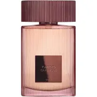 Tom Ford perfume Café Rose (2023) EDP 50 ml
