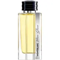 Mont Blanc perfume Vetiver Glacier EDP 125 ml