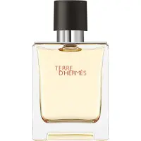 Hermès Paris perfume Terre d'EDT 50 ml