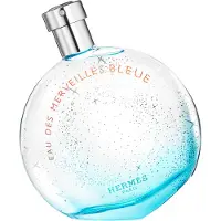 Hermès Paris Hermès Eau Des Merveilles Bleue Eau De Toilette Spray 50ml