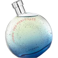 Hermès Paris perfume L'Ombre Des Merveilles EDP 100 ml
