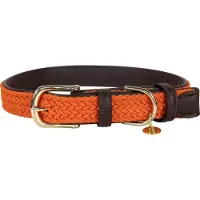Kentucky Coleira De Cachorro Nylon Plaited