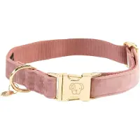 Kentucky Coleira De Cachorro Velvet
