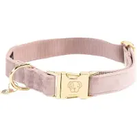 Kentucky Coleira De Cachorro Velvet