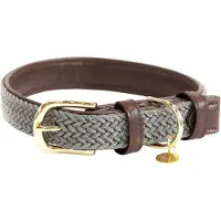 Kentucky Coleira De Cachorro Nylon Plaited