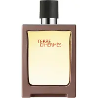 Hermès Paris Terre D'Eau De Toilette masculino - recarregável 30 ml