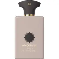 Amouage Opus V Woods Symphony EDP U 100 ml