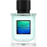 David Beckham True Instinct - EDP - Volume: 50 ml