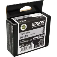 Epson Cartucho De Tinta C13t46s900