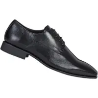 Geox Sapatos High Life
