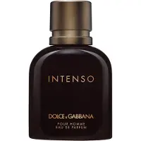 Dolce&Gabbana perfume Intenso EDP 125 ml