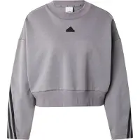 Adidas Sweatshirt 3-Stripes Future Icons