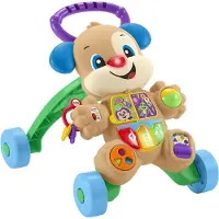 Fisher Price Passeador De Cães