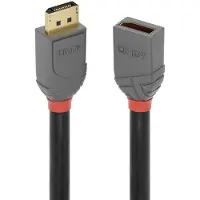 Lindy Cabo Displayport 901751419 3 M