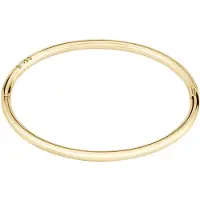 HUGO BOSS Bracciale Acciaio Oro Live 1580686 — Bracciale