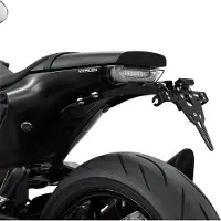 Zieger Suporte de matrícula profissional