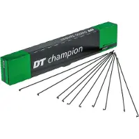 Dt Swiss Raios Champion M 100 Unidades