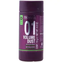 Salerm Pó Para Pentear Volume Dust Matifying 10g