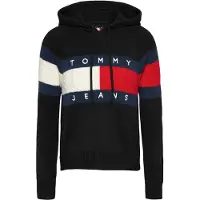 Tommy Hilfiger Moletom Com Capuz Dw0dw20250