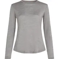 Icebreaker Camisa funcionais cinzento-prateado