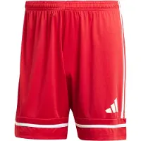 Adidas Calções Squadra 25