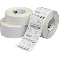 Zebra Z-Perform 1000T 800294-605 etiqueta branca 102x152mm