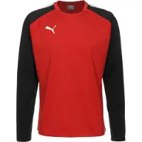 Puma Camisa funcionais 'Team Liga' vermelho / preto