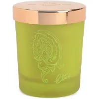 Etro Vela perfumada Dafne 170 g