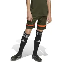 Adidas Calções Squadra 25