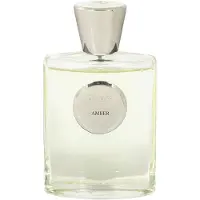 Giardino Benessere Âmbar Edp - 100 ml