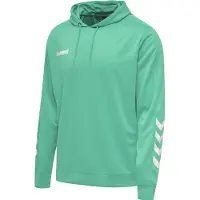 Hummel Moletom Com Capuz Promo Poly
