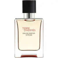 Hermès Paris perfume Terre d'Intense EDP 50 ml