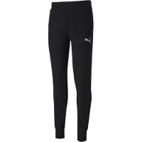 Puma Calças Teamgoal 23 Casuals