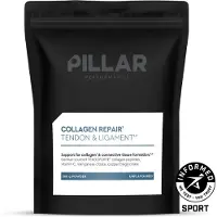 Pillar Performance Colagénio Em Pó Repair 260g