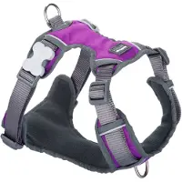 Red Dingo Arnês Para Cães Padded