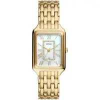 Fossil Raquel ES5304